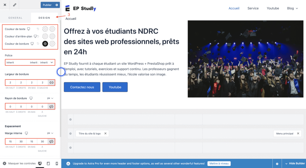 Style bouton wordpress